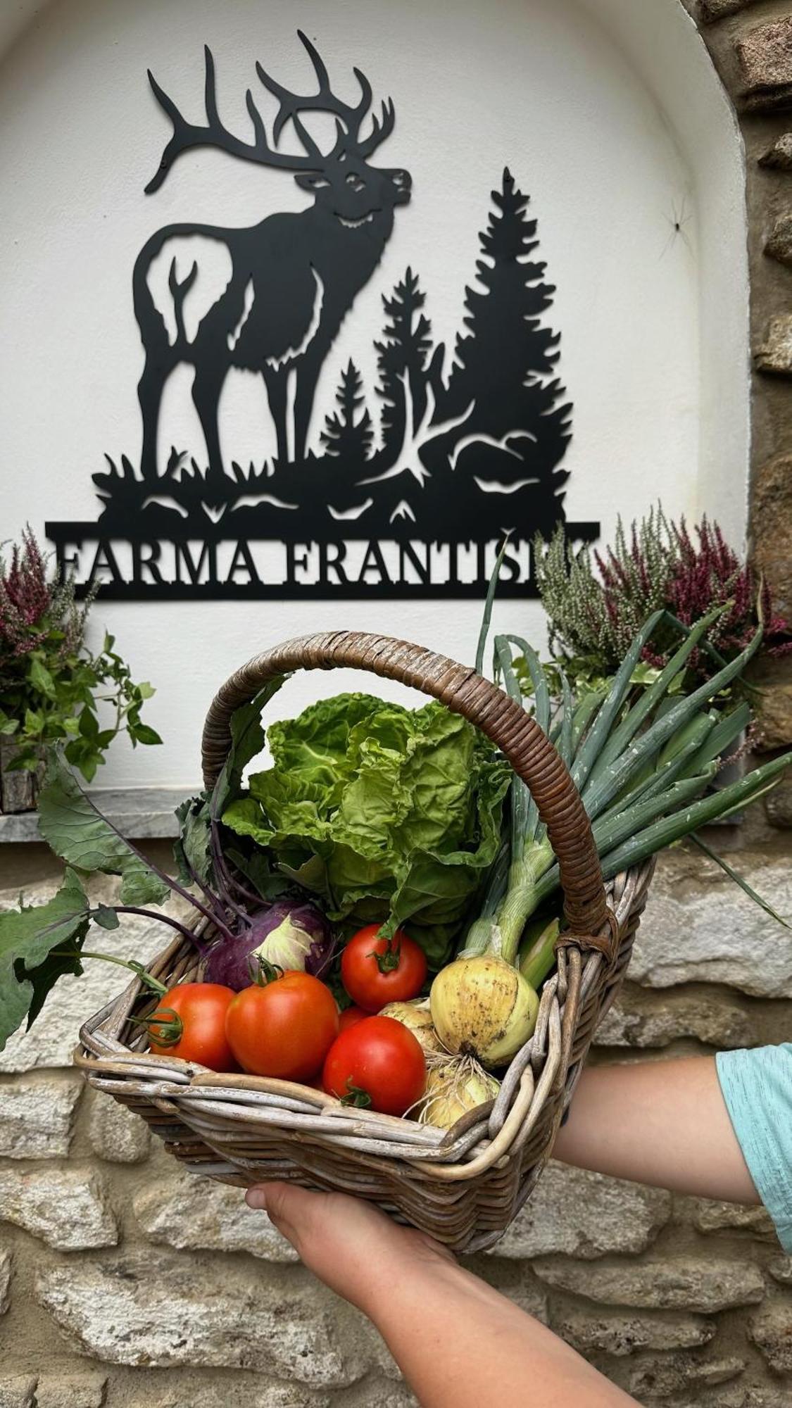 ホテル Farma Frantisek Stachy エクステリア 写真